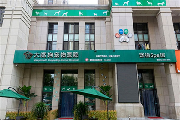 在深圳开一家宠物医院加盟店怎么样